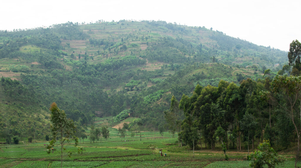 hills in rwanda