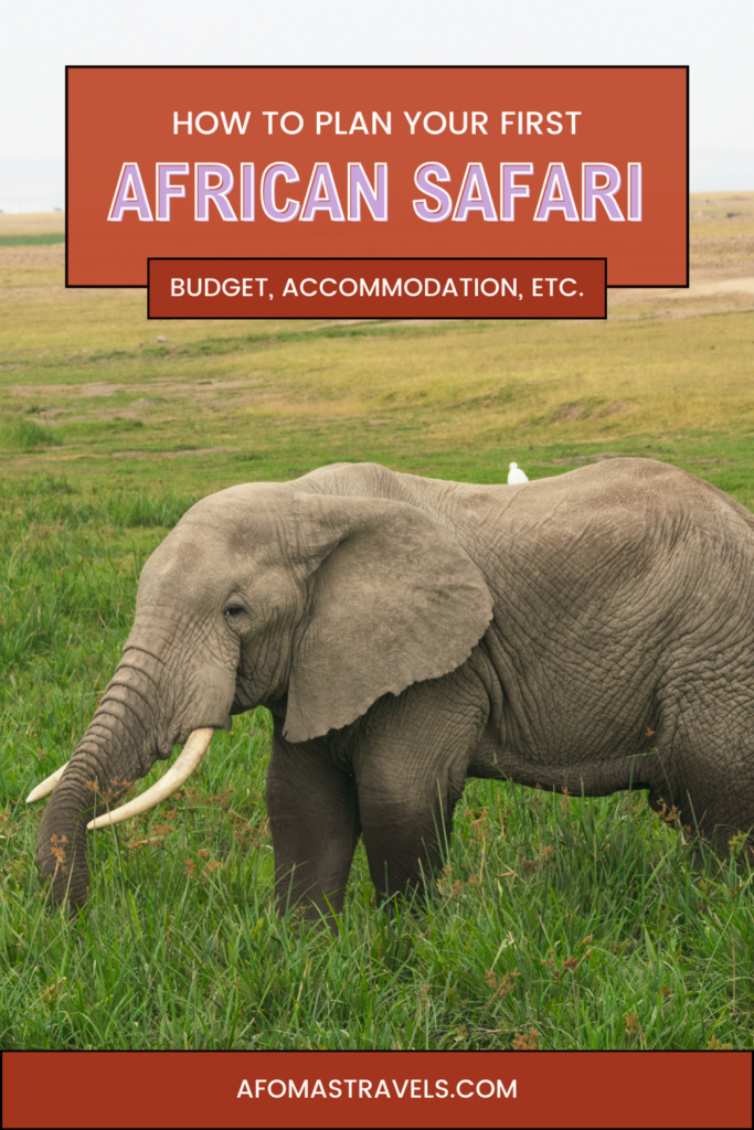 how to plan an african safari - pinterest image